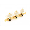 DER JUNG® MÉCANIQUES POUR GUITARE CLASSIQUE BOUTONS ET AXES IVOIRE GOLD