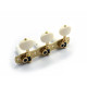 CLASSIC 1800 BOUTON PLASTIC IVORY SOLID BRASS 1:14