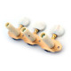 DER JUNG® MACHINE HEADS HAUSER FOR CLASSICAL GUITAR PEARL BUTTONS GOLD