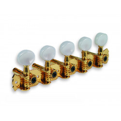10 CORDES 5 X 5 SUR PLATINE GOLD BOUTONS IP (E/A 23.8mm)