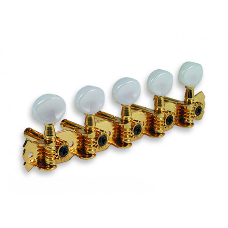 10 CORDES 5 X 5 SUR PLATINE GOLD BOUTONS IP (E/A 23.8mm)