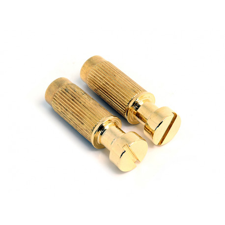STUDS FOR LES PAUL® STYLE METRIC TAILPIECE GOLD (2pcs)