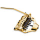FLOYD ROSE FRX GOLD (SET) K