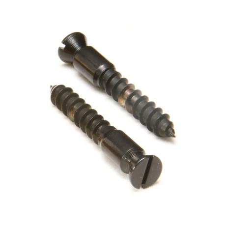 FLOYD ROSE PIVOT SCREW (PAIR) BLACK