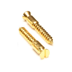 FLOYD ROSE PIVOT SCREW (PAIR) GOLD