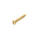 LONG SCREW FOR PICKUP RING GOLD (50pcs)