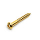 GOTOH® TREMOLO MOUNTING SCREWS WS-05 3.5 x 25mm ROUND HEAD GOLD (20pcs)