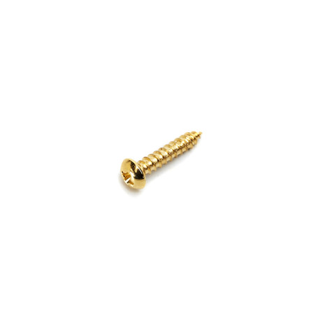 TUNER SCREWS GOLD (50pcs)