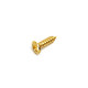 PICKGUARD SCREWS FENDER® STYLE GOLD (100pcs)