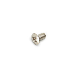 MOUNTING SCREWS FOR METRIC LEVER SWITCH 3 x 5.5mm OVAL HEAD NICKEL (20pcs)