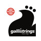 GALLI STRINGS® GYPSY JAZZ STRINGS 011-047 (LOOP END)