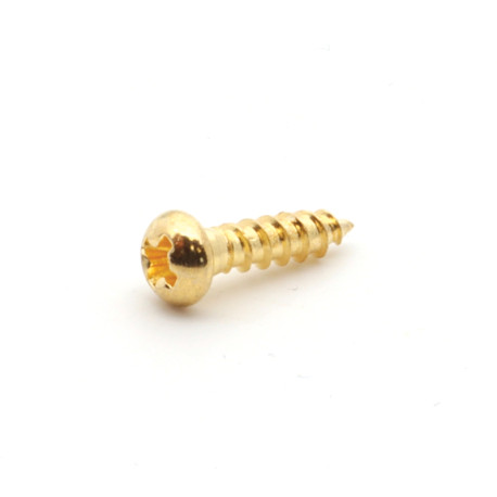 GOTOH® WS-18 MACHINE HEAD SCREWS 2.4 x 10mm ROUND HEAD GOLD (Bulk 50pcs)