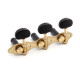 APARICIO CLASSICAL MACHINE HEADS "MURCIA" SATIN / BLACK SHAFTS / EBONY BUTTONS