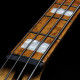 SANDBERG® CALIFORNIA TT4 ROASTED MAPLE NECK - GOLDBURST