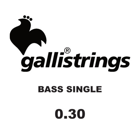 GALLI STRINGS® CORDES BASSE ÉLECTRIQUE À L'UNITÉ 0.30