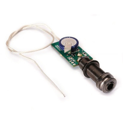 Electro-acoustic guitars